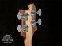 Rickenbacker 4003/4 AC Al Cisneros model, Natural Walnut: Headstock - Rear