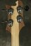 Rickenbacker 4003/4 AC Al Cisneros model, Natural Walnut: Headstock - Rear