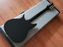 Rickenbacker 355/6 JL, Jetglo: Full Instrument - Rear