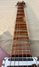 Rickenbacker 360/6 V64, Fireglo: Neck - Front