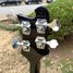 Rickenbacker 4003/4 S, Jetglo: Headstock - Rear