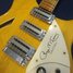 Rickenbacker 370/12 RM, Mapleglo: Free image2