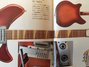Rickenbacker 366/12 , Fireglo: Neck - Front