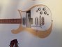 Rickenbacker 456/12 , Mapleglo: Body - Front