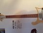Rickenbacker 456/12 , Mapleglo: Neck - Front