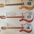 Rickenbacker 450/12 , Fireglo: Full Instrument - Front