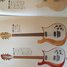 Rickenbacker 450/12 , Mapleglo: Full Instrument - Front