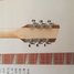 Rickenbacker 660/12 , Mapleglo: Headstock - Rear