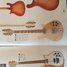Rickenbacker 660/12 , Mapleglo: Full Instrument - Front