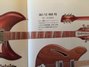 Rickenbacker 381/12 , Fireglo: Neck - Front