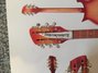 Rickenbacker 456/12 , Fireglo: Headstock