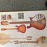 Rickenbacker 610/12 VP, Fireglo: Full Instrument - Front