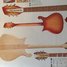 Rickenbacker 610/12 VP, Fireglo: Full Instrument - Rear