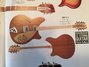 Rickenbacker 380/12 Prototype, Natural Walnut: Full Instrument - Front