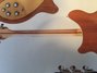 Rickenbacker 380/12 Prototype, Natural Walnut: Neck - Rear