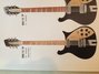 Rickenbacker 660/12 TP, Jetglo: Full Instrument - Front
