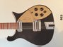 Rickenbacker 660/12 TP, Jetglo: Body - Front