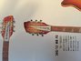Rickenbacker 360/12 WB, Fireglo: Headstock