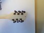 Rickenbacker 360/12 Tuxedo, White: Headstock - Rear