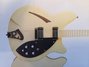 Rickenbacker 360/12 Tuxedo, White: Body - Front