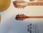 Rickenbacker 360/12 V64, Fireglo: Headstock - Rear