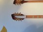 Rickenbacker 360/12 , Walnut: Headstock