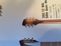 Rickenbacker 360/12 , Walnut: Headstock - Rear