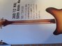 Rickenbacker 360/12 , Walnut: Neck - Rear