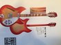 Rickenbacker 360/12 O.S., Fireglo: Full Instrument - Rear