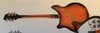 Rickenbacker 360/12 , Walnut: Full Instrument - Rear