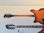 Rickenbacker 360/12 , Walnut: Neck - Rear