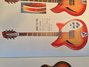 Rickenbacker 360/12 , Fireglo: Full Instrument - Front