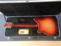 Rickenbacker 360/12 , Fireglo: Full Instrument - Rear