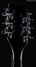 Rickenbacker 360/12 , Jetglo: Headstock - Rear