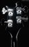 Rickenbacker 4003/4 , Jetglo: Headstock - Rear