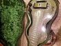 Rickenbacker NS 100/6 LapSteel, Silver: Body - Front