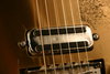 Rickenbacker 450/6 Combo, Black: Free image