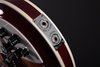 Rickenbacker 381/6 V69, Fireglo: Close up - Free