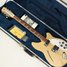 Rickenbacker 360/12 , Mapleglo: Free image2