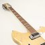Rickenbacker 360/12 , Mapleglo: Neck - Front