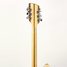 Rickenbacker 360/12 , Mapleglo: Neck - Rear