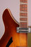 Rickenbacker 360/6 Capri, Autumnglo: Free image