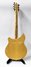 Rickenbacker 360/6 , Mapleglo: Full Instrument - Rear