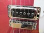 Rickenbacker 620/6 , Metallic Plumglo: Close up - Free2