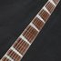 Rickenbacker 360/12 , Fireglo: Neck - Front