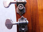 Rickenbacker 335/6 Capri, Natural: Headstock - Rear
