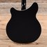 Rickenbacker 360/6 Mod, Jetglo: Body - Rear