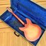 Rickenbacker 335/6 , Fireglo: Full Instrument - Rear