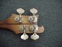 Rickenbacker 4001/4 FL, Autumnglo: Headstock - Rear