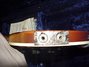 Rickenbacker 4001/4 FL, Autumnglo: Close up - Free